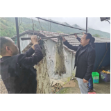 深子湖镇：落实禁捕退捕，让“捕鱼达人”变“护鱼达人”