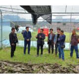 黄茅园镇：春训课堂进基地  产业发展添动力