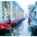  金缨芬芳飘三湘 ——湘妃酒业有限责任公司总经理向孜创业小纪