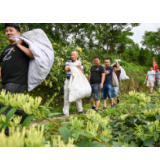 贫困村里金银花儿开 残联干部花里寻初心