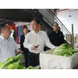 安全生产三年行动 | 杨廉喜调度桥江龙潭小城镇建设 带队检查“两节”期间安全生产工作