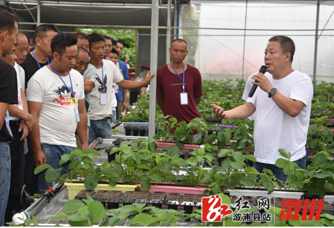 我县农民田间学校开班授课