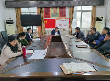 观音阁镇集中开展村（社区）班子运行情况调研