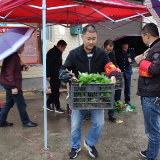 交通顽瘴痼疾整治｜沿溪乡：巩固整治成效“还市于路 还路于民”