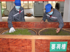 弘扬茶文化  以赛促发展——溆浦县总工会举办茶行业职工职业技能大赛