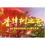 香樟树之恋——追忆湖南溆浦县委书记蒙汉同志