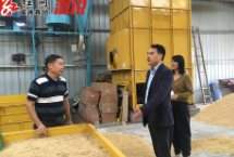 溆浦:粮食烘干机日烘干能力将达730吨