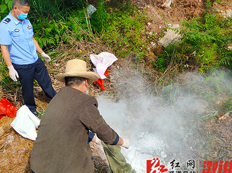 溆浦县集中销毁一批非法野生动物死体