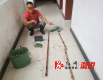 溆浦森林公安连破两起非法捕捞水产品案