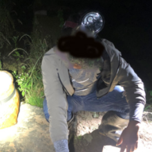 青蛙“呱呱呱”，乱捉要被抓