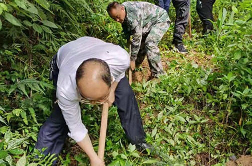 统溪河镇：清水渠 送清流 助春耕