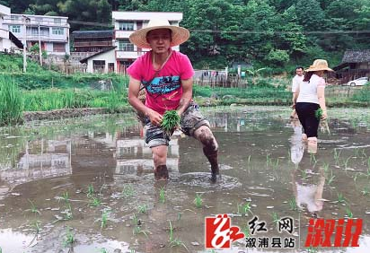 “采得百花成蜜后 为谁辛苦为谁甜” ——市生态环境局溆浦分局张吾扶贫扶在百姓心坎上