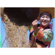  金秋十月，云端梯田稻浪翻滚，我们相聚湖南溆浦山背，共庆中国农民丰收节