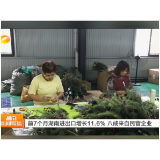 前7个月湖南进出口增长11.6%   八成来自民营企业