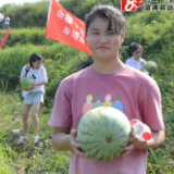 科普教育走进种植基地 金樱子树边喜尝黄瓤瓜