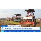 [正点财经]落实“六稳”与“六保” 湖南怀化：冬季油菜大面积种植移栽
