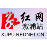县领导带头参加我县第七次全国人口普查自主填报