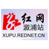 杨廉喜：在学懂弄通做实上下功夫 把蕴含其中思想方法和工作方法转化为 狠抓落实的强大动力