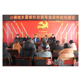 小横垅乡雷坡村农民专业合作社代表会