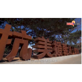 社会主义核心价值观主题微电影优秀作品 —— 七十年后 我们的战机接你回家