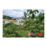 报喜！村里变样了！ | 龙庄湾乡刘家湖村：农业托起村民致富梦