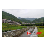 报喜！村里变样了！ | 三江镇西湖村：乡村大变样