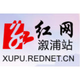 刘从才：抓实干部队伍建设  推动溆浦高质量发展