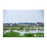 人民网丨湖南：万众一心护长江 目之所及皆风景