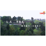 社会主义核心价值观主题微电影优秀作品 —— 志在 梦想在