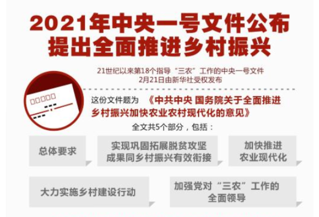 2021年中央一号文件公布 提出全面推进乡村振兴