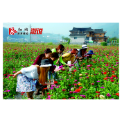 文明花香满义陵 | 幸福坪溪笑颜开