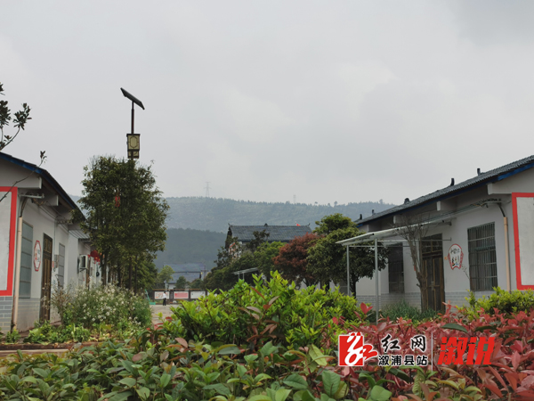 绿植环绕.jpg