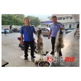 沿溪乡：严厉打击非法捕鱼行为
