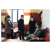 杨廉喜到龙潭镇暗访督查巩固拓展脱贫攻坚成果同乡村振兴有效衔接、疫情防控、安全生产等工作