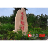 龙潭镇：阳雀坡村路灯照亮幸福路 乡村振兴添光明