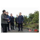郑湘：坚定决心 乘势而上 不断做优做强“溆浦脐橙”品牌