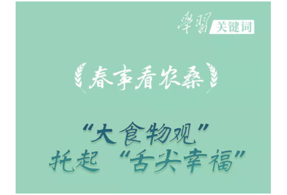 春事看农桑丨“大食物观”托起“舌尖幸福”