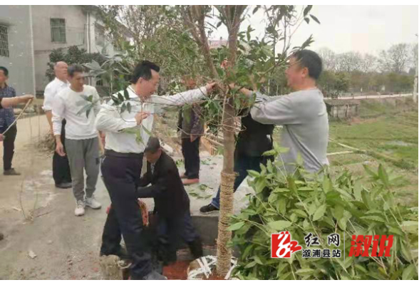 水东镇：刘家渡村乡贤参事会正式授牌运行