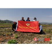 水东镇：开展“稳定粮食播种面积暨整治耕地抛荒”专项监督活动