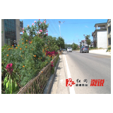 统溪河镇：竹篱笆围出村容好风景