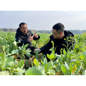 新春走基层丨“冬闲人忙”放手干——湖南新型粮油生产经营主体新春走访见闻