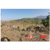 双井镇扎实开展森林防火阻隔的建立和清理工作