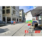 小横垅乡：人大代表积极行动 助力人居环境提质升级