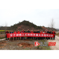 深子湖镇：义务植树助力林长制工作