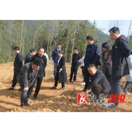 两丫坪镇：抓实冬春训 聚力谋发展