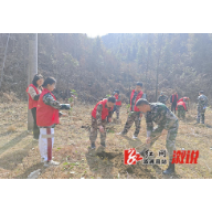 中都乡：植树添绿 为春日充“植”