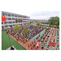 观音阁镇：扎实开展“小手拉大手，安全伴我行”安全教育活动