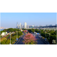时政新闻眼丨习近平在广州调研这两家企业，蕴含哪些战略思考？
