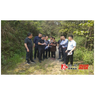 溆浦历史遗留矿山生态修复工程项目顺利通过省市专家组验收