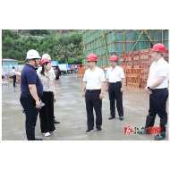 立即行动起来 全力以赴做好当前工作——郑湘到卢峰、思蒙等乡镇调研